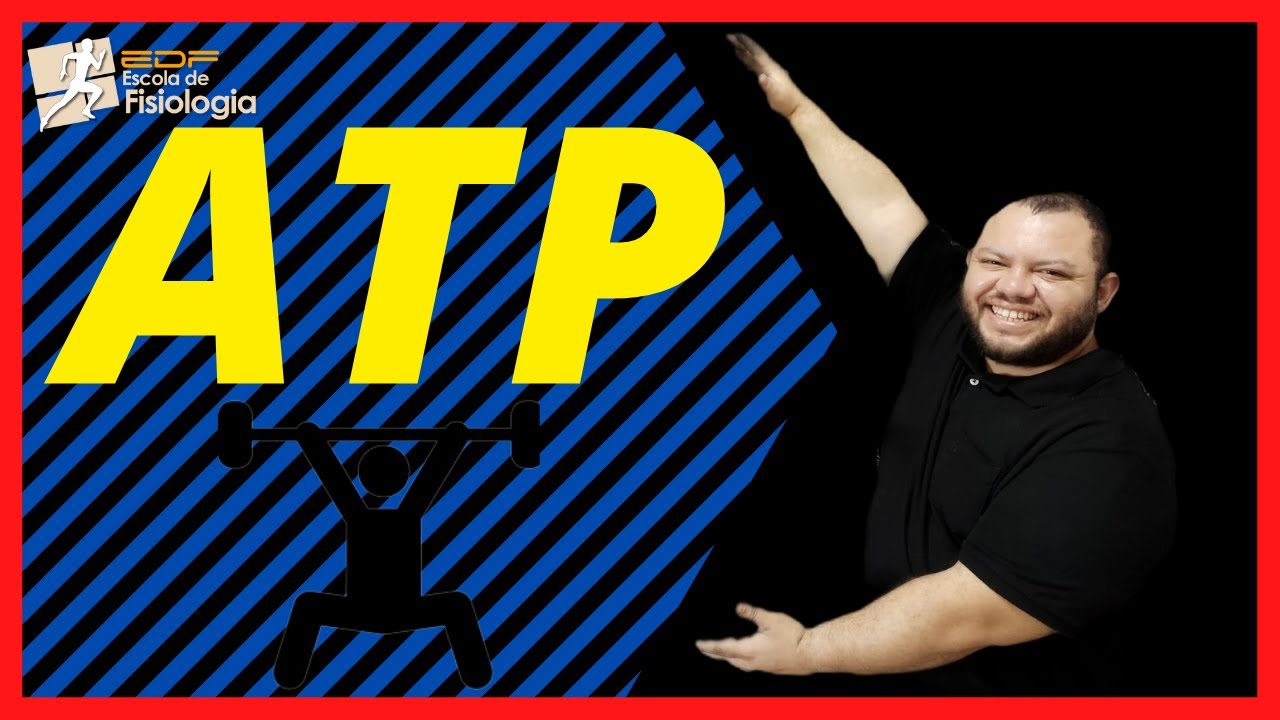 ATP - O que é e para que serve?