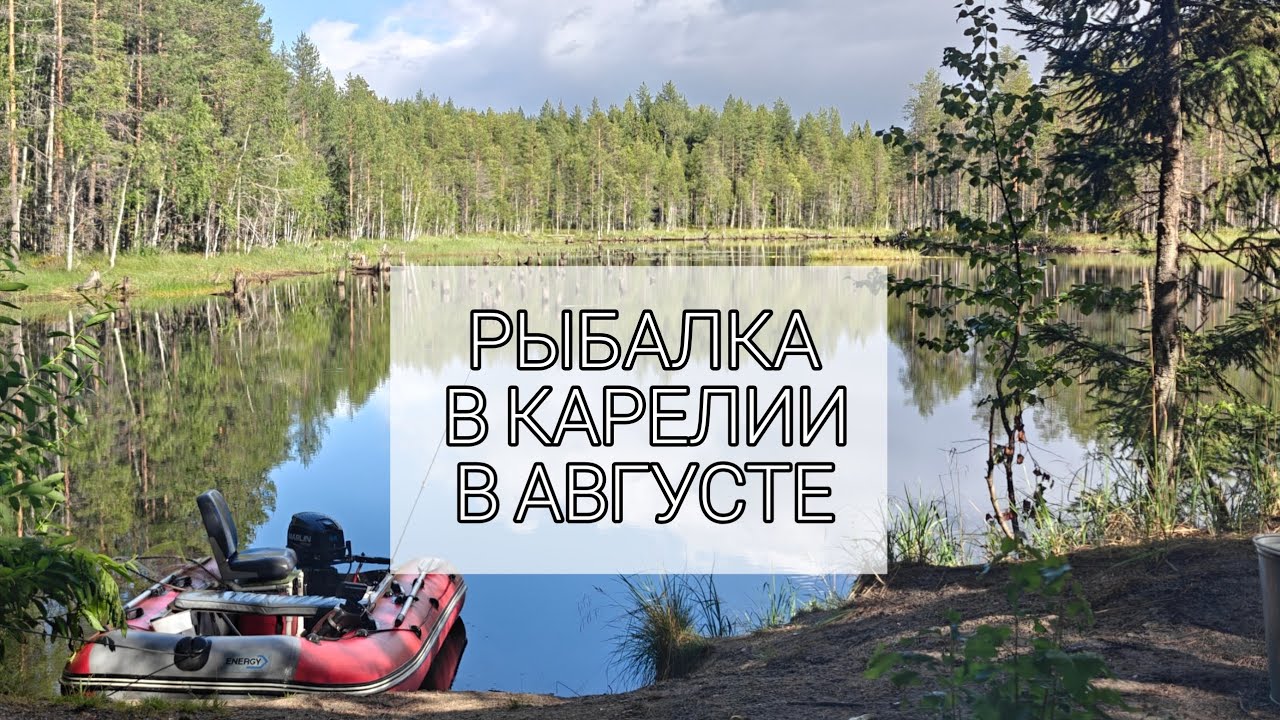 РЫБАЛКА В КАРЕЛИИ В АВГУСТЕ. ЩУКИ, ОКУНИ, ДОЖДЬ И КРАСОТА ВОКРУГ. ЧАСТЬ 1