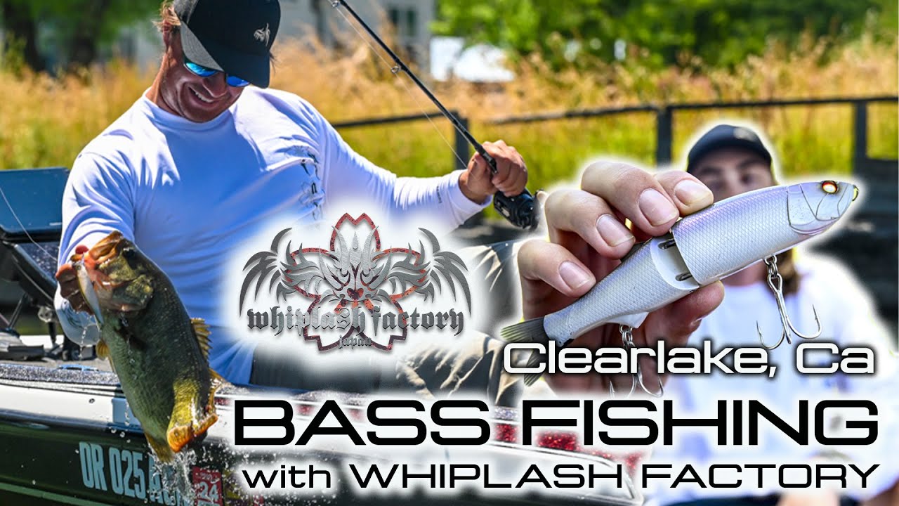 INSANE Bass Action on Clear Lake with JDM Whiplash Factory Gear! (Full Review)