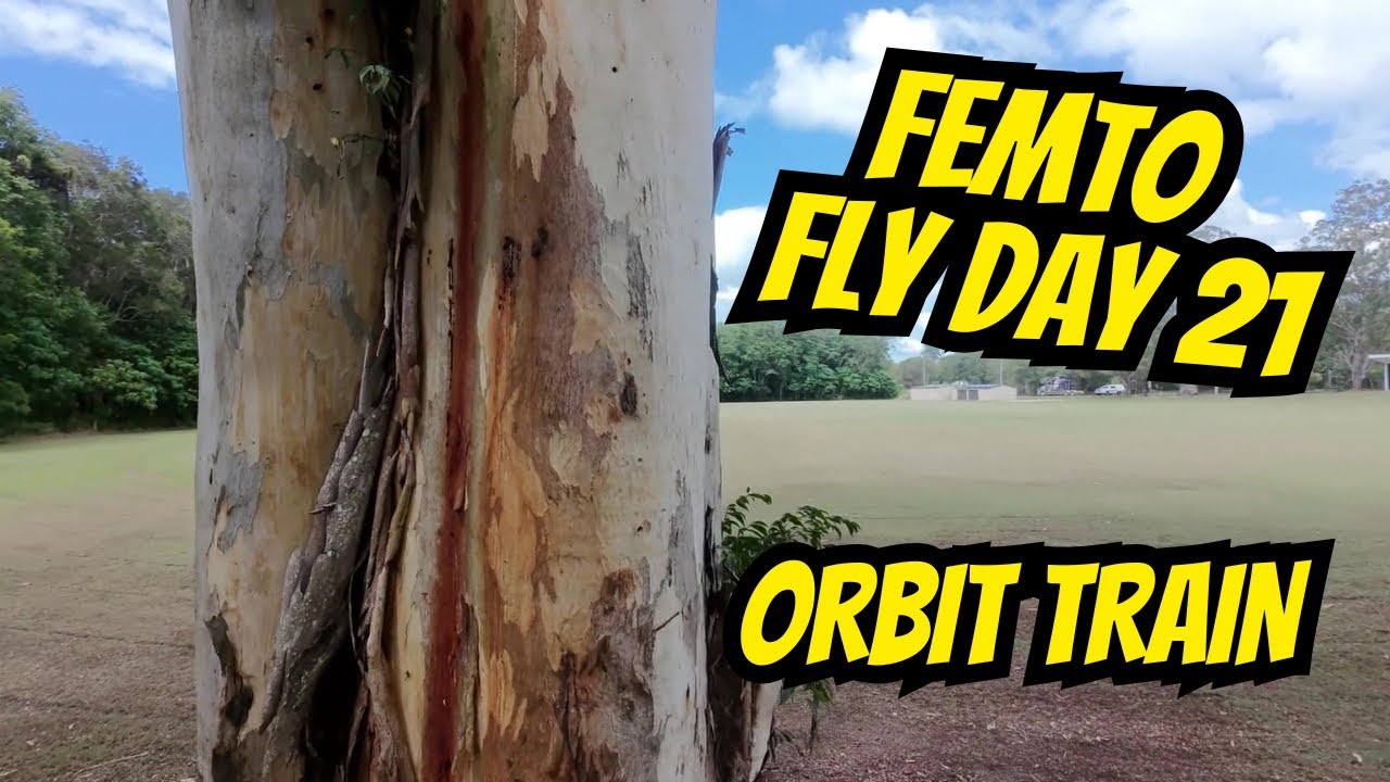 Femto - Fly Day 21 - Orbit Train