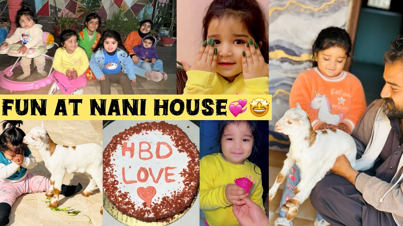 MASHALLAH Teddy Gulabi Bakra🐐Buhat enjoy kia apne cousins sath☺️Birthday celebration of Afzal Mamu🎂