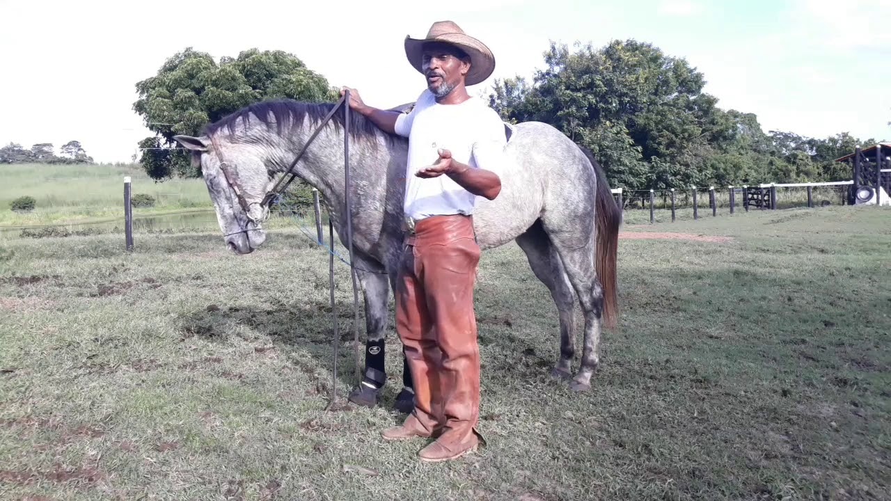 INÍCIO  DE RECUO.Flexionamento parte 4