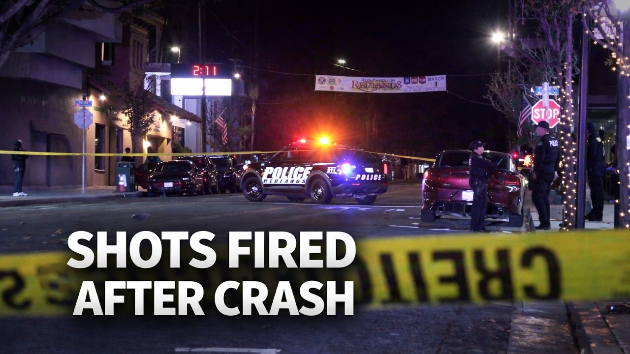 Shots Fired After Tesla Driver Slams Into Crowd