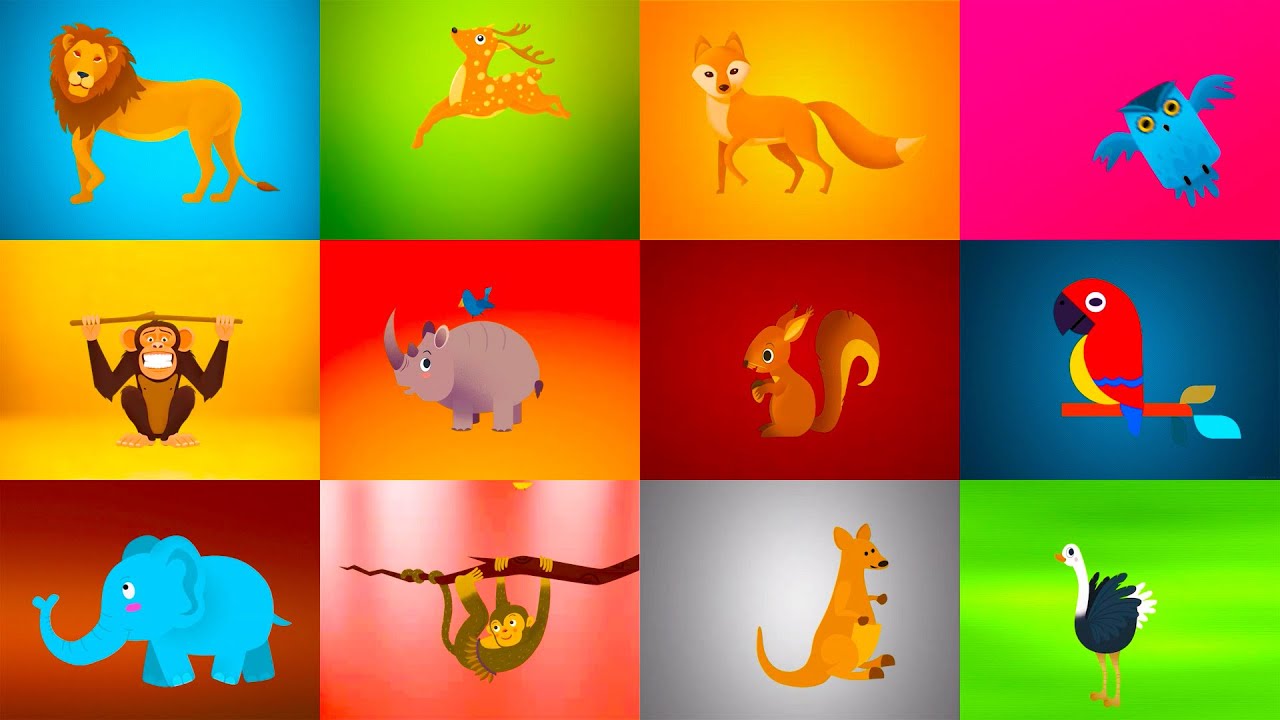 POGODI ZIVOTINJU 🦒 Životinje i Za Djecu 🐘 Pepi TV Crtani Za Decu 🦒 Edukativni Programi