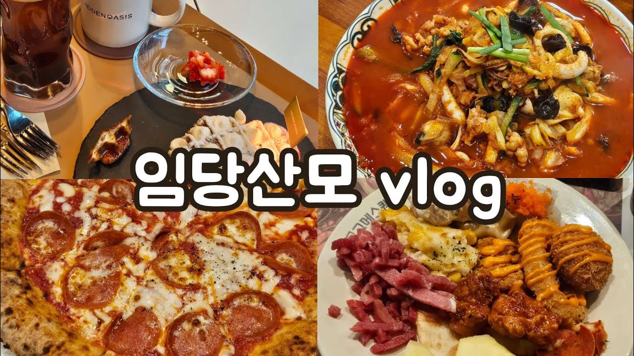 [임산부 VLOG] 매일이 치팅데이인 인슐린 맞는 임당산모 | 16개월 육아하기 | 31주차 둘째 임산부