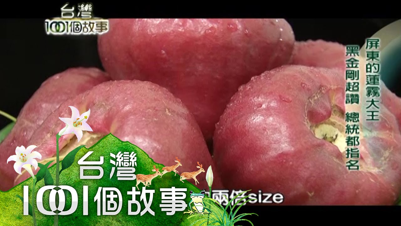 屏東的蓮霧大王 培植黑金剛 王瑞雄第一 第78集 part4【台灣1001個故事】2011年