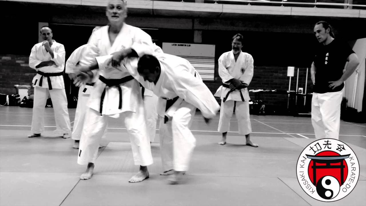 Guy Janssens - Belgian seminars 2015 - Yama-Tsuki
