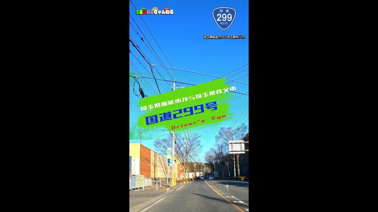 国道299号　縦画面撮影　埼玉県飯能市～埼玉県秩父市まで　２倍速再生  【ドライブ動画】