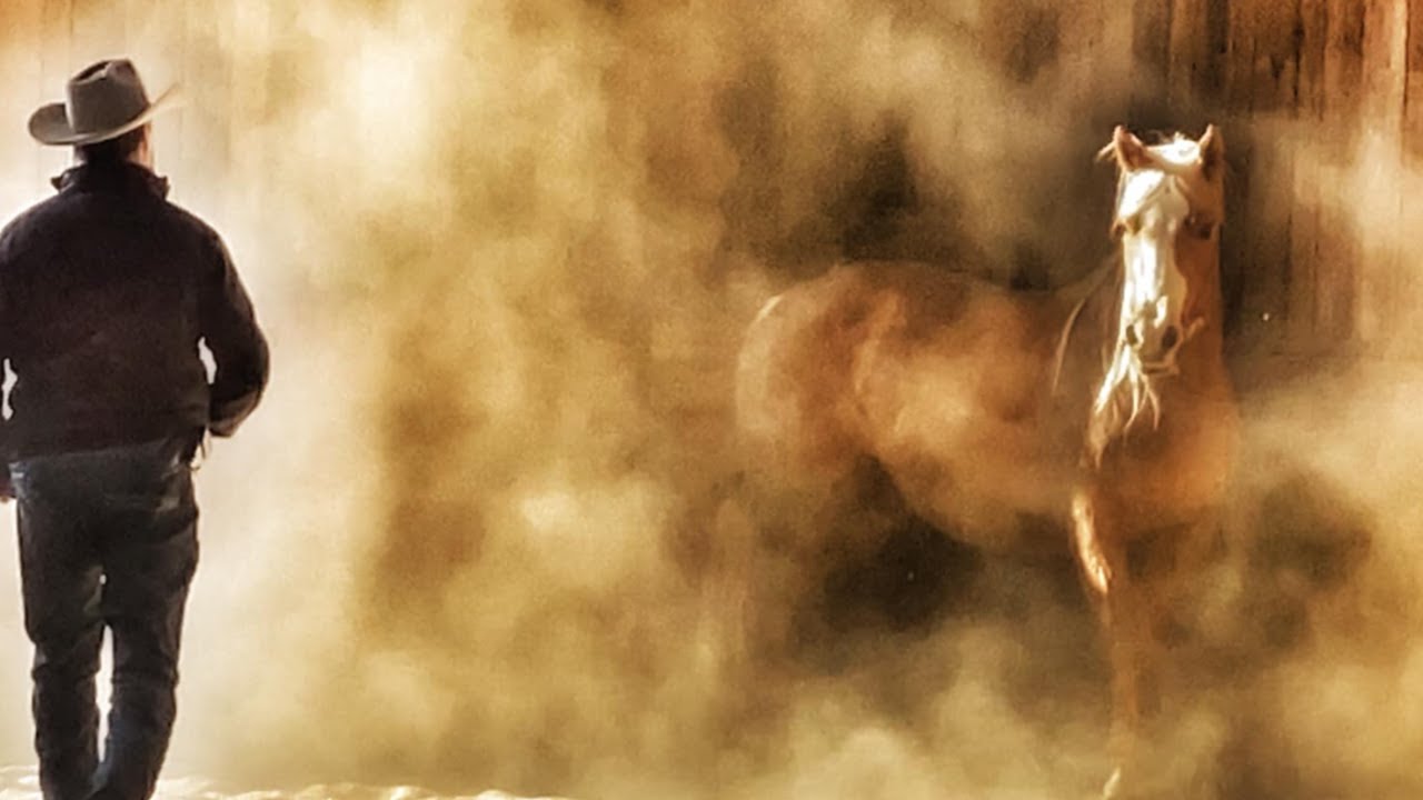 Facebook Live - Foundation Principles