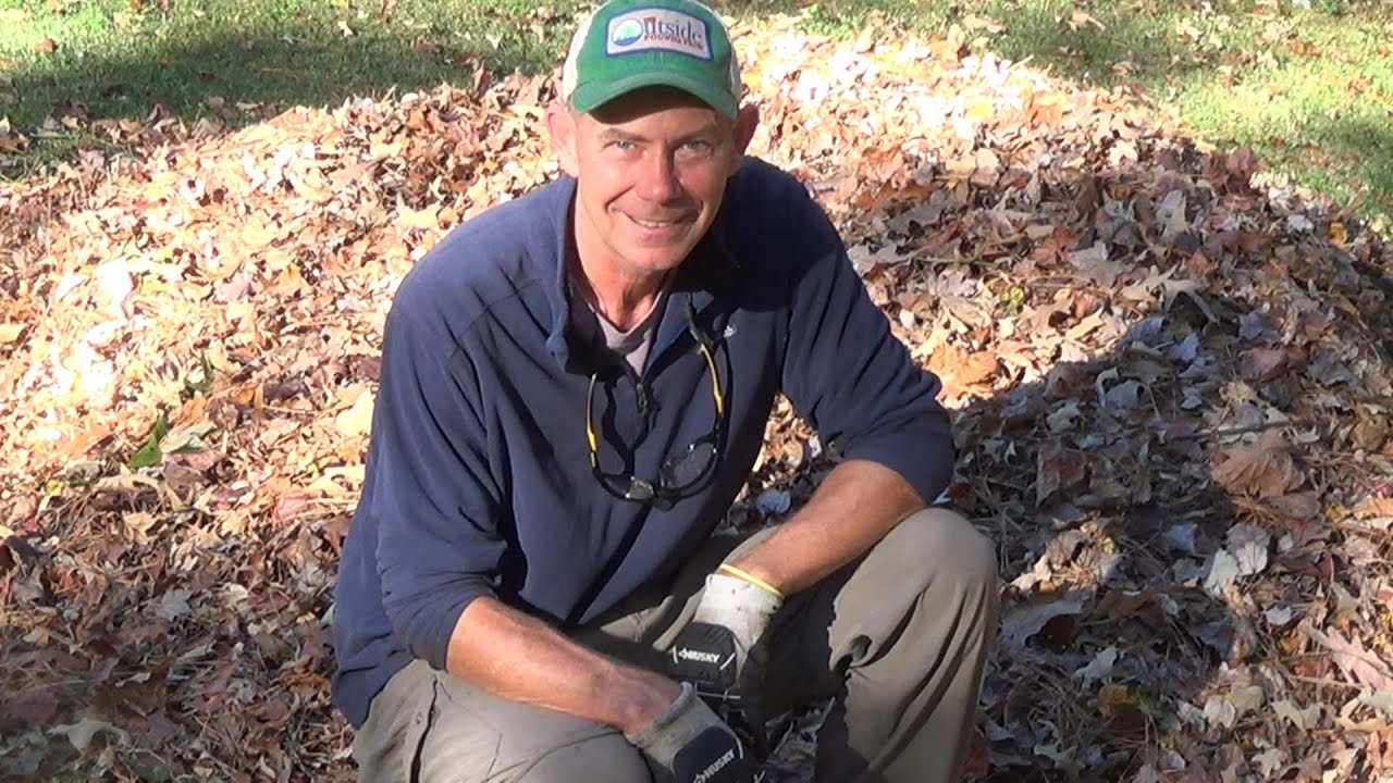 How to make leaf mulch and leaf mold - Building better garden soil