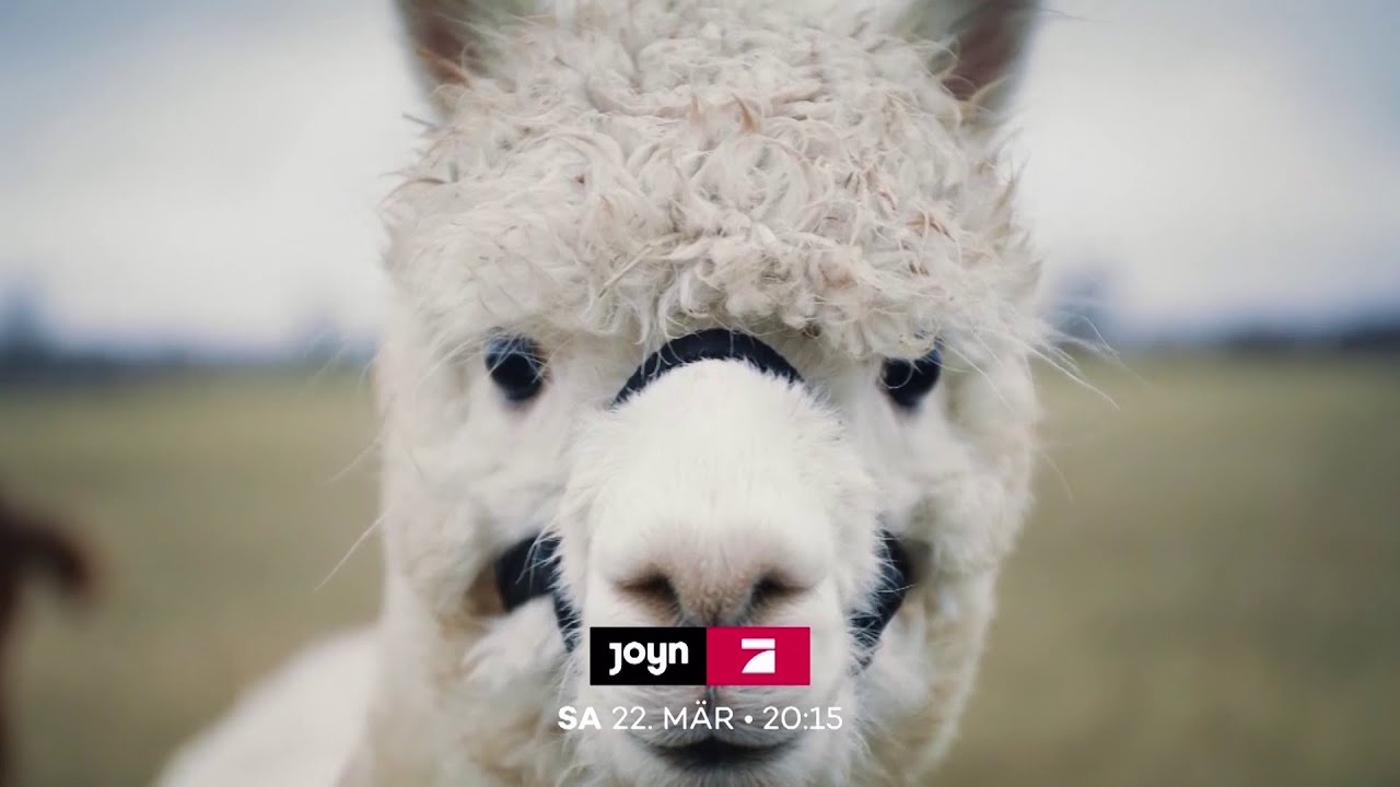 Ein sehr gutes Quiz (mit hoher Gewinnsumme) Promo 1 f&uuml;r den 22.03.2025 (ProSieben)