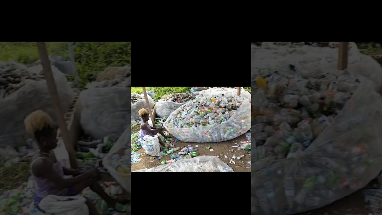 Waste to wealth