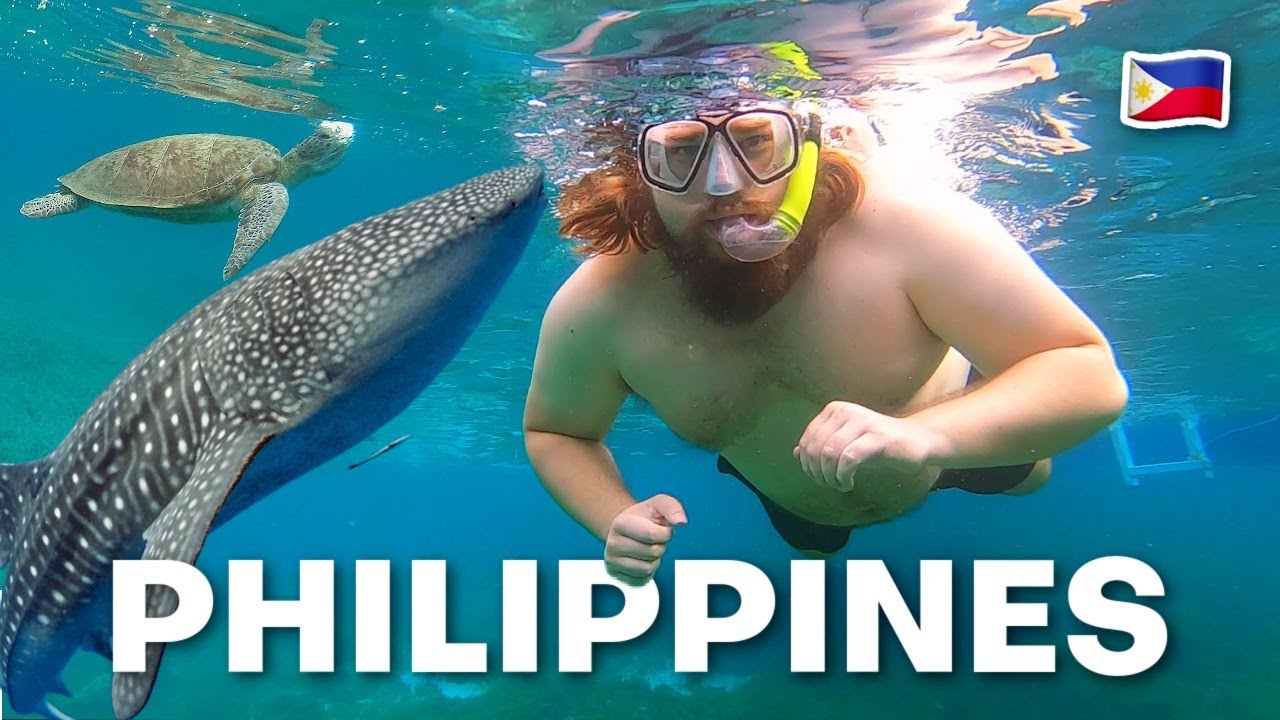 First Time In The Philippines 🇵🇭 Whale Sharks, Dolphins, Turtles, Star Fish & More!