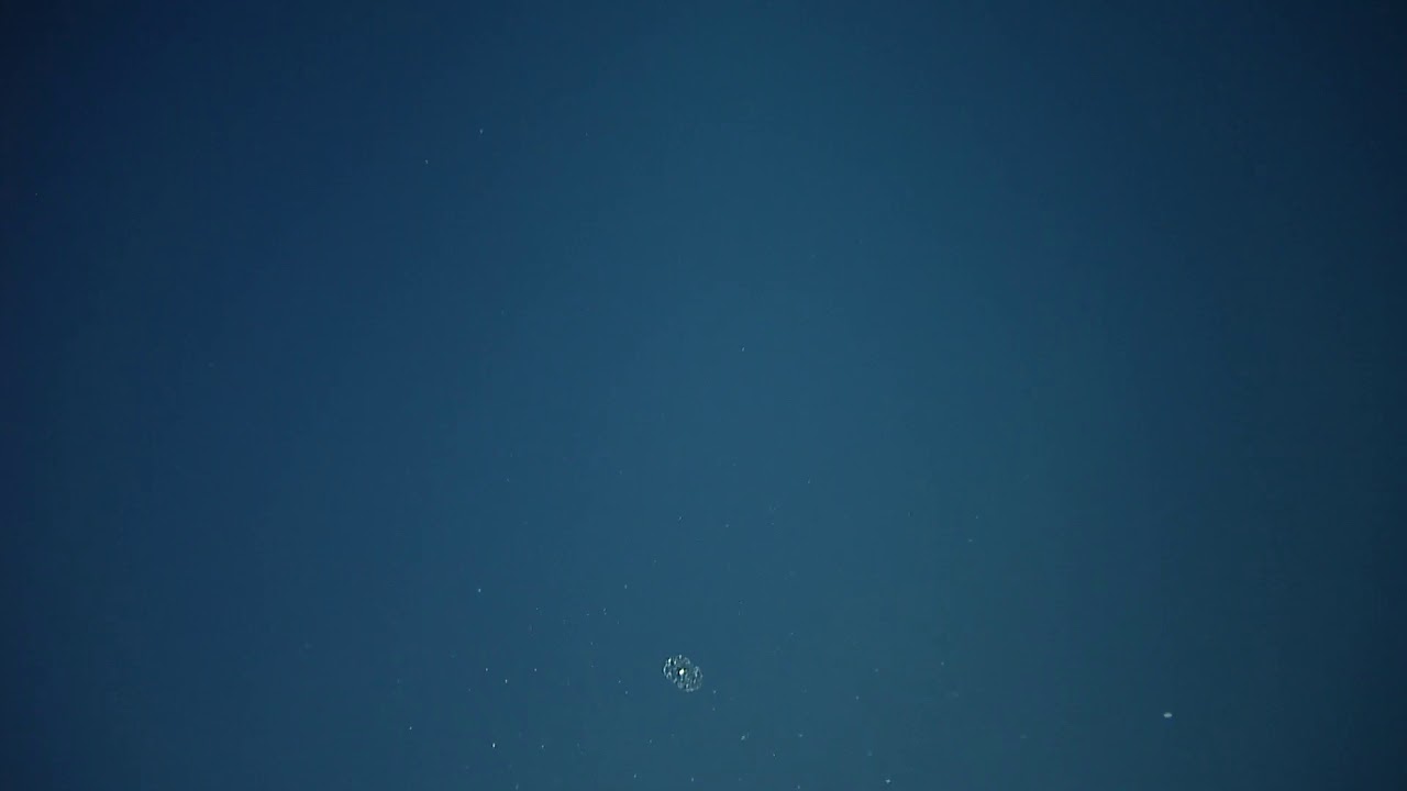 ROV Argus Dive NA111-R1055-20190714T2246UTC-200