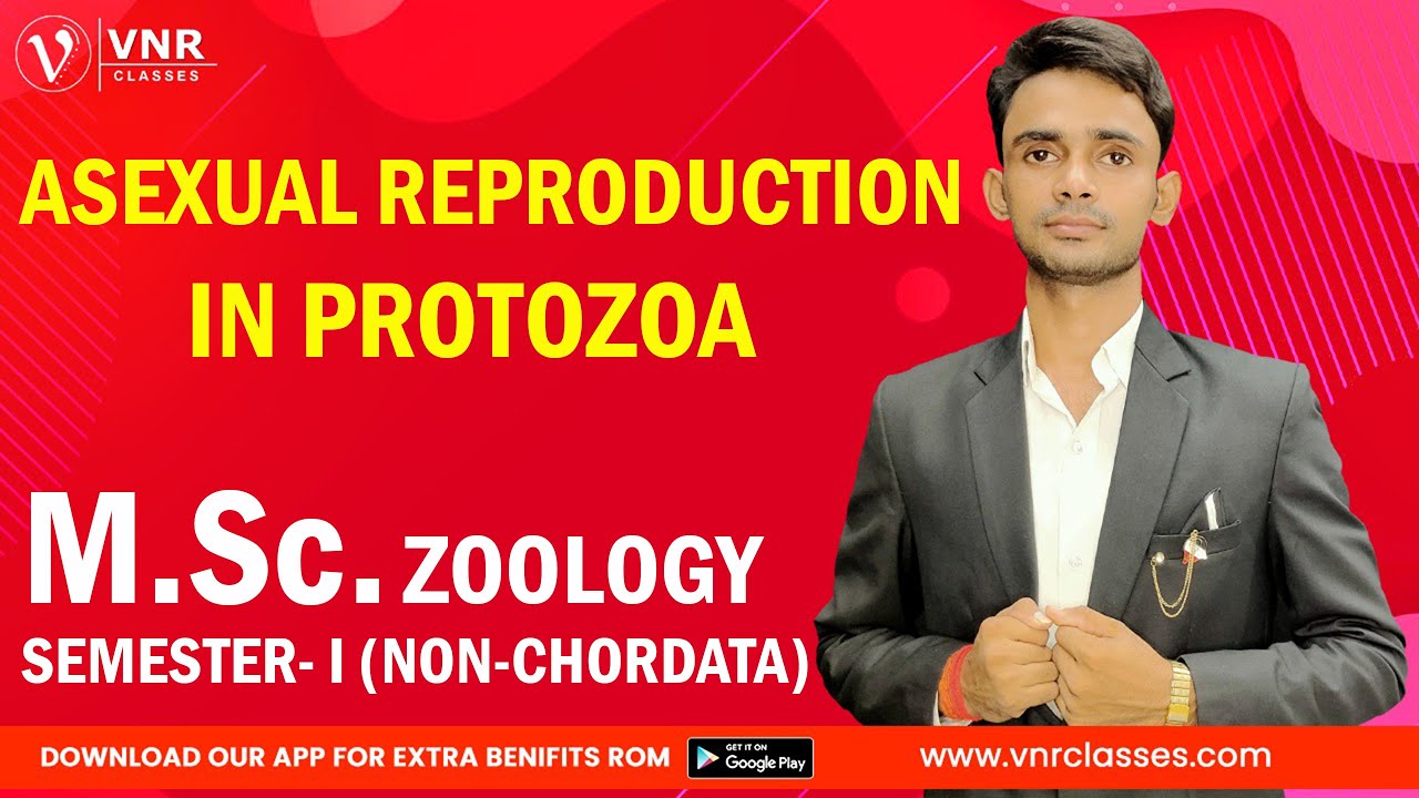 ASEXUAL REPRODUCTION IN PROTOZOA || ZOOLOGY || NON-CHPRDATA || M.Sc.1st YEAR  || Prahalad Sir