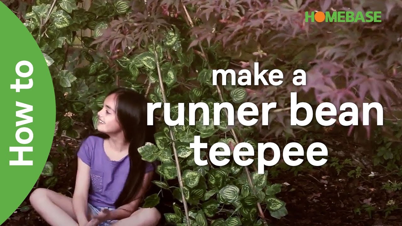 How to make a runner bean teepee | kids gardening ideas | Homebase