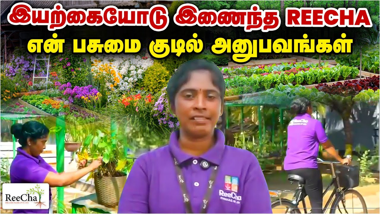 ReeCha Greenhouse Worker Experience | Best Farm House in Sri Lanka