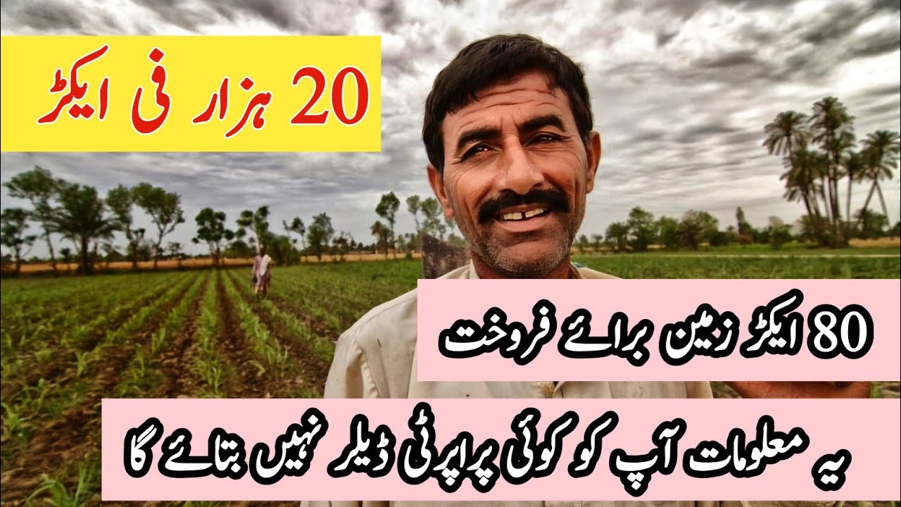 Agriculture land for sale in Punjab Pakistan | zari zameen for sale | land for sale