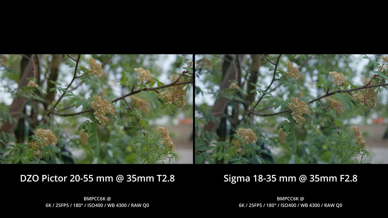 TEST | DZO Pictor 20-55 mm vs SIGMA 18-35 mm | BMPCC6K (4K)