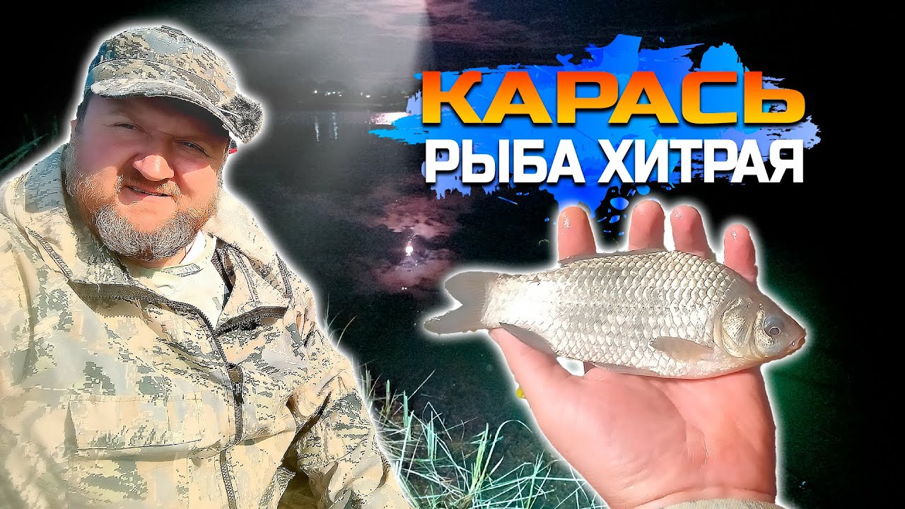 Карась, рыба ХИТРАЯ