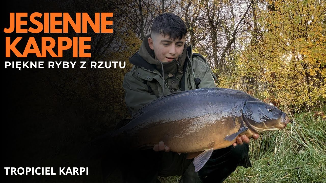 Jesienne karpie z rzutu! Piękne ryby w mroźną noc!