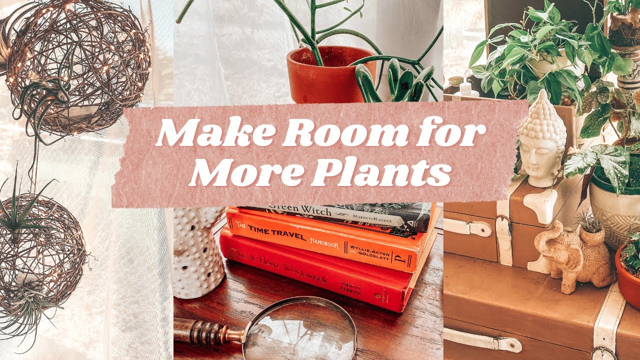 7+ Creative Plant Stand Ideas From The Thrift Store
