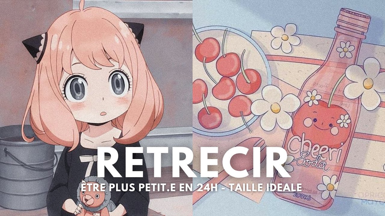 RÉTRÉCIR / RAPETISSER en 24h