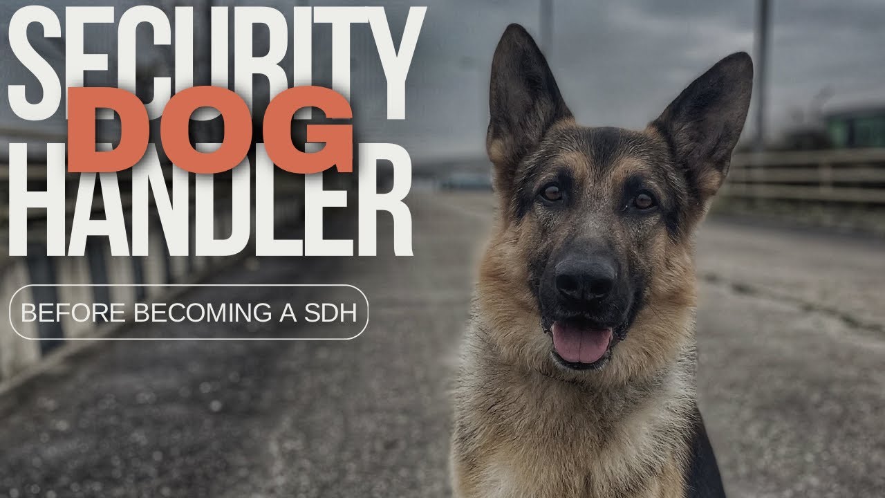BEFORE you become a Security Dog Handler