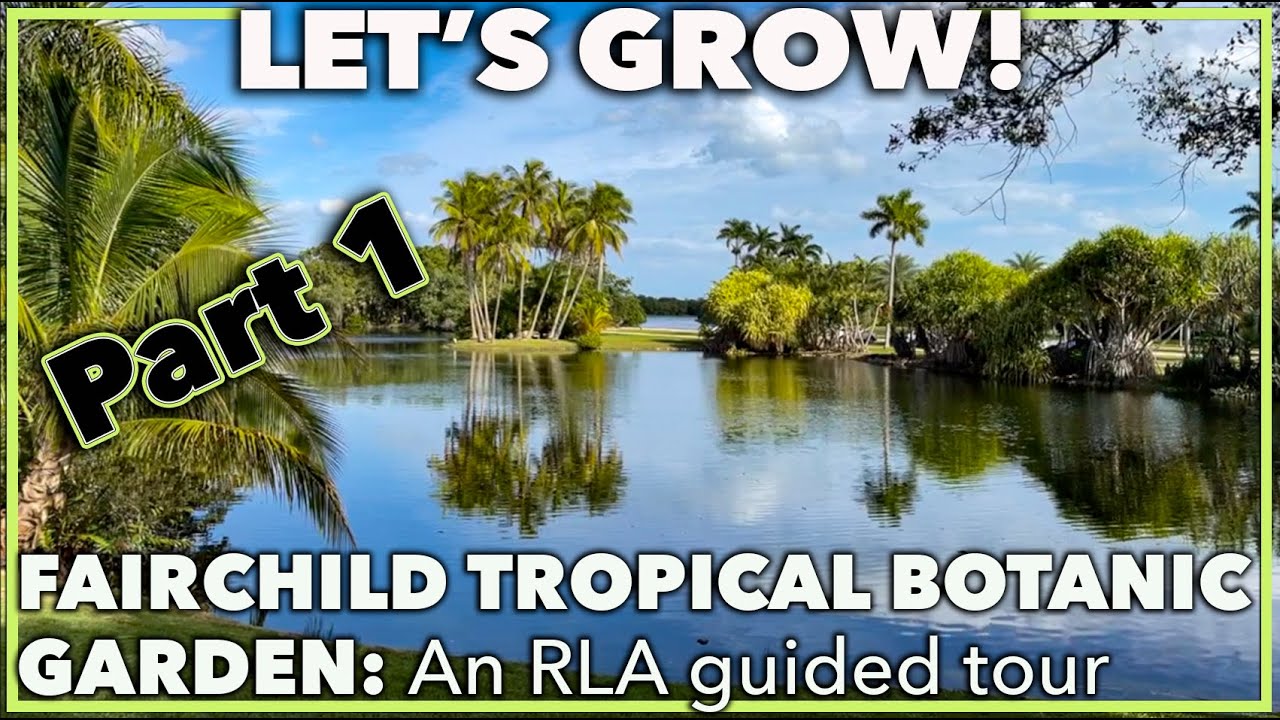 FAIRCHILD TROPICAL BOTANIC GARDEN: Landscape Architect guided tour- Part 1