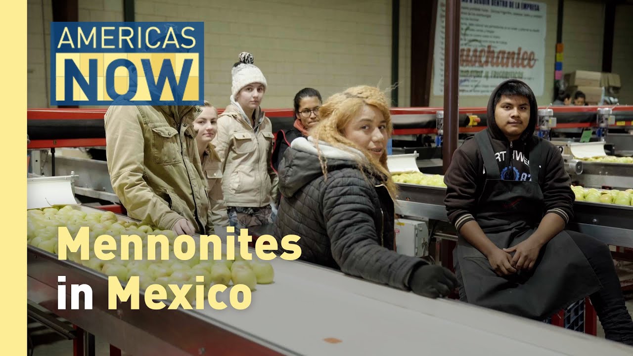 Mennonites in Mexico: Agricultural Pioneers