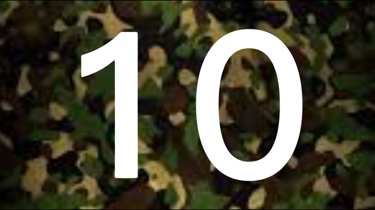 Top 10 SSG Commando Of Pakistan Army 2021 ( SSG Zindabad ) ( ⚔️🇵🇰⚔️ )
