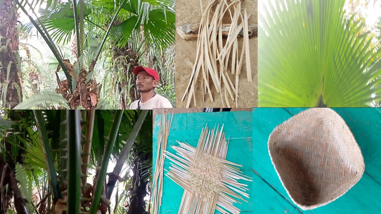 How to make basket by Fan palm leaf @WangbaPKonyak-z6whttps 