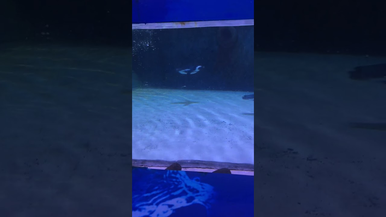 Phu Quoc Aquarium
