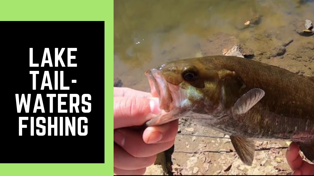 Spillway Fishing Taylorsville Lake