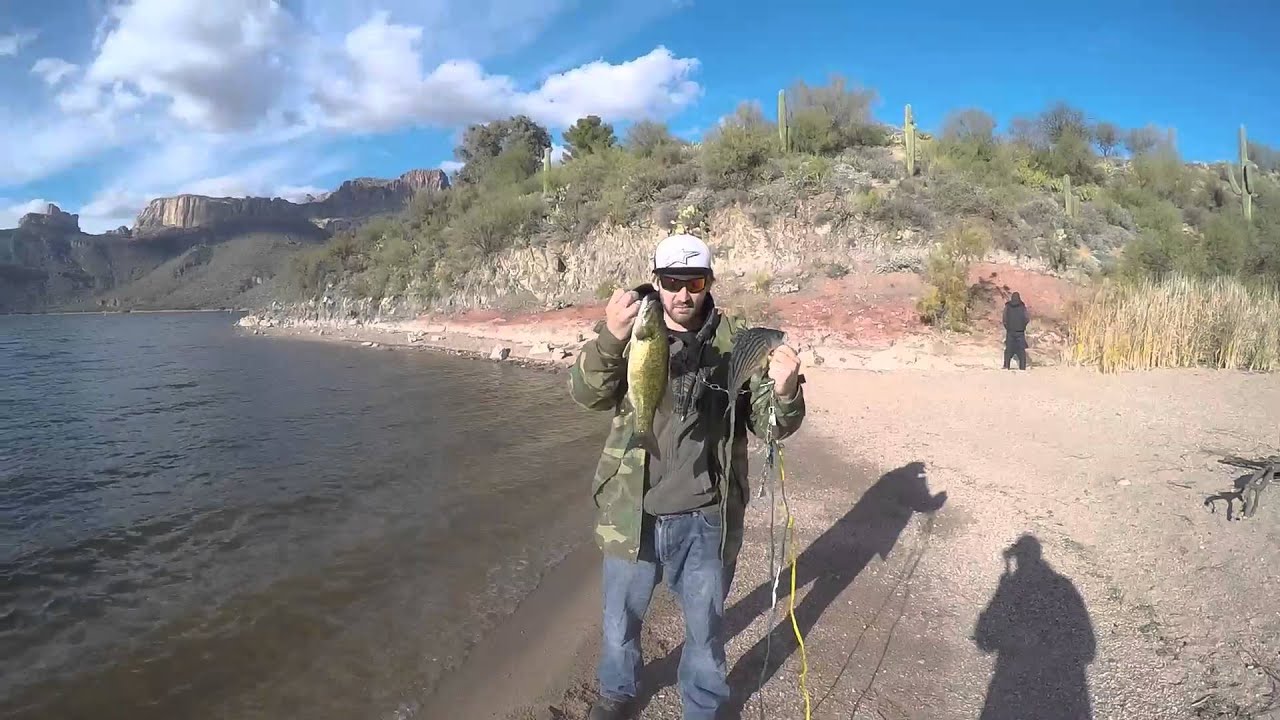 Arizona-Fishing Apache Lake