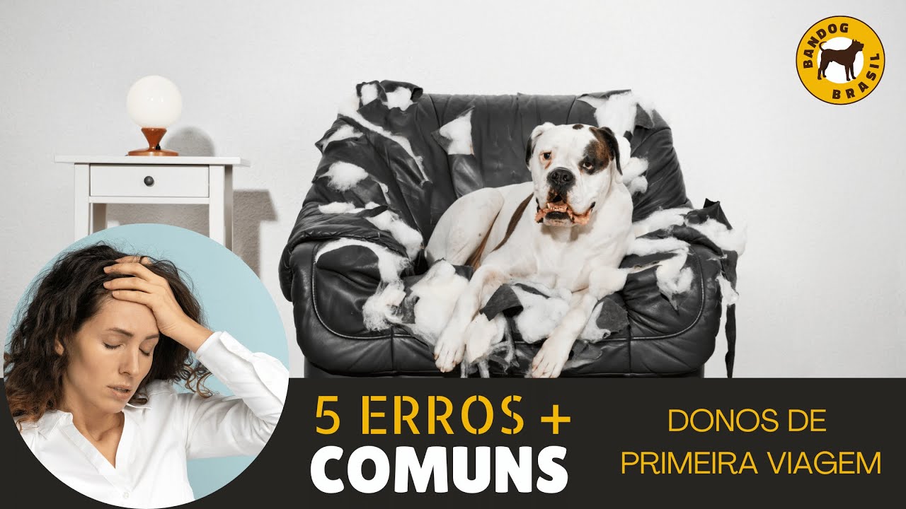 5 ERROS + COMUNS!  Donos de primeira viagem.