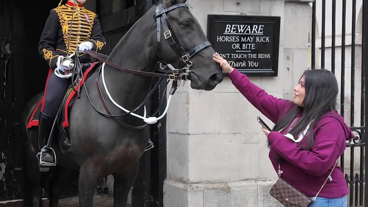 Don’t TOUCH the Horse 