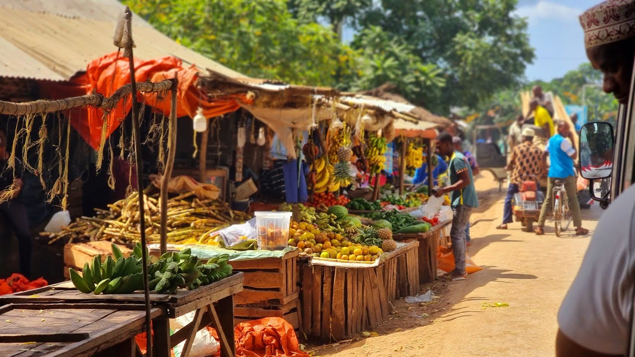 Travel from Stone Town, Zanzibar to Nungwi and Kendwa Beach. Excellent trip, excellent views #travel