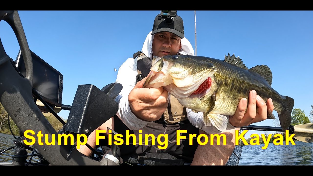 Lake Wilhelm - Kayak Fishing Stumps