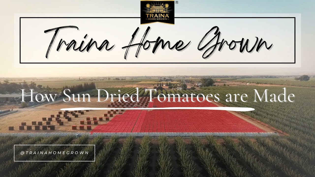 Traina Foods - How Sun Dried Tomatoes are Made
