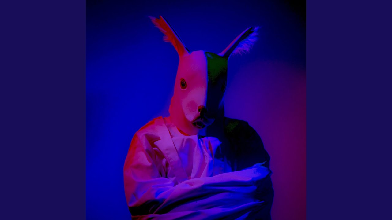 Run, Rabbit, Run!