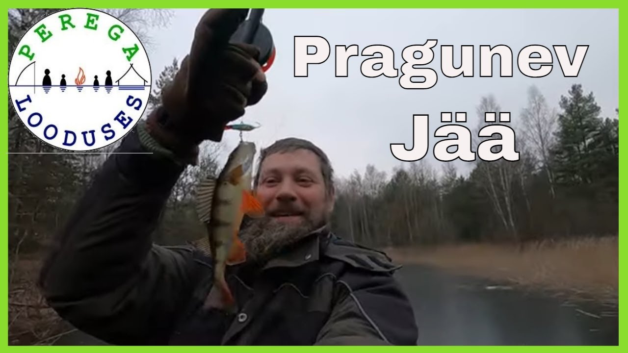 Ahvenapüük jäält