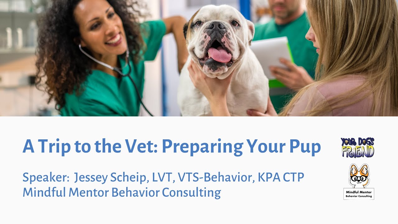 A Trip to the Vet: Preparing Your Pup 4-13-2024