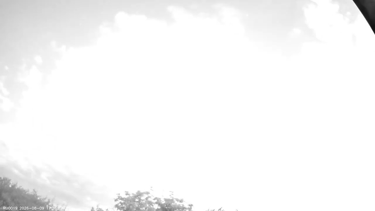 2026-08-10-RU0019-Кочеванчик