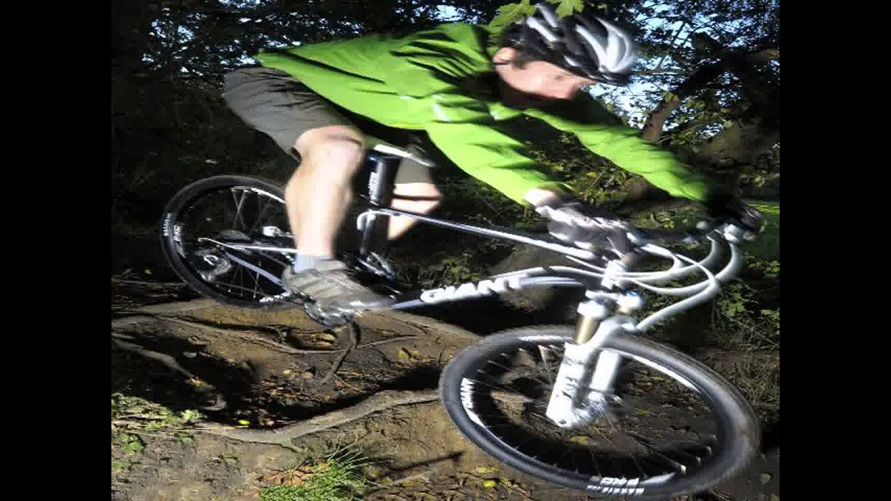 Bicycle Giant Anthem X 29er 2011