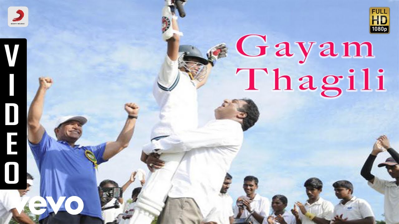 Dhoni Telugu - Gayam Thagili Video | Ilayaraja | Prakash Raj