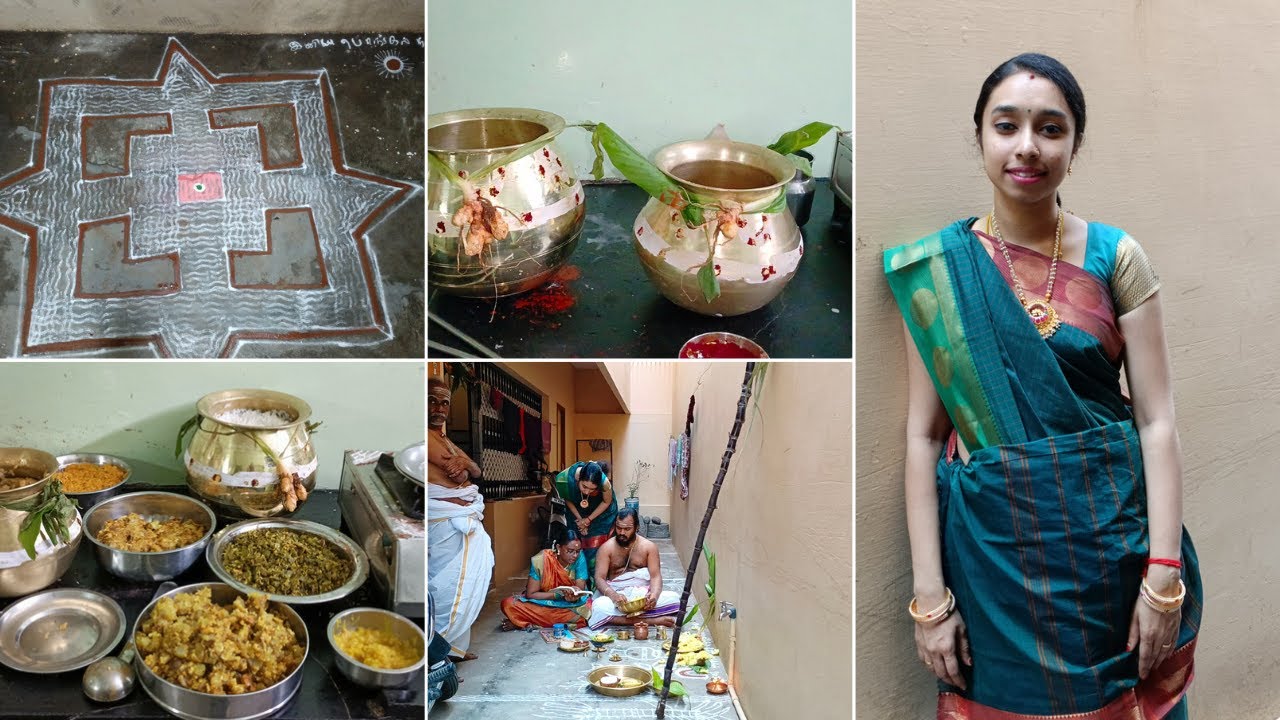 Thala pongal கொண்டாட்டம் | First Pongal celebration for 2 couple | Abhinaya's Creation