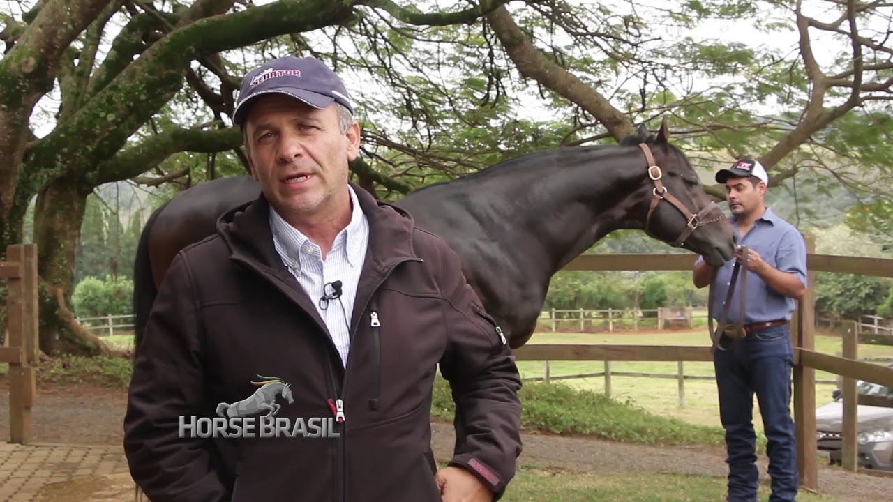 Horse Brasil- Programa exibido 02/08