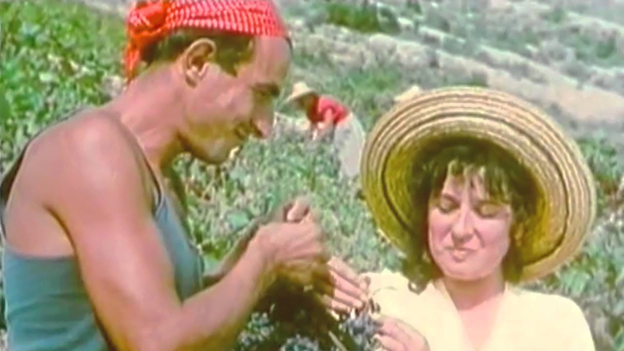 Valentino Boskovic - Adeyata  (fideo swyddogol)