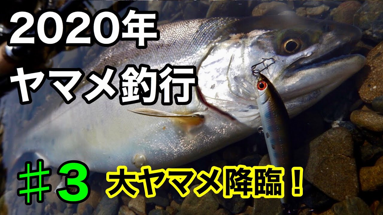 【本流】宮崎県 本流大ヤマメを狙ってみた！#3
